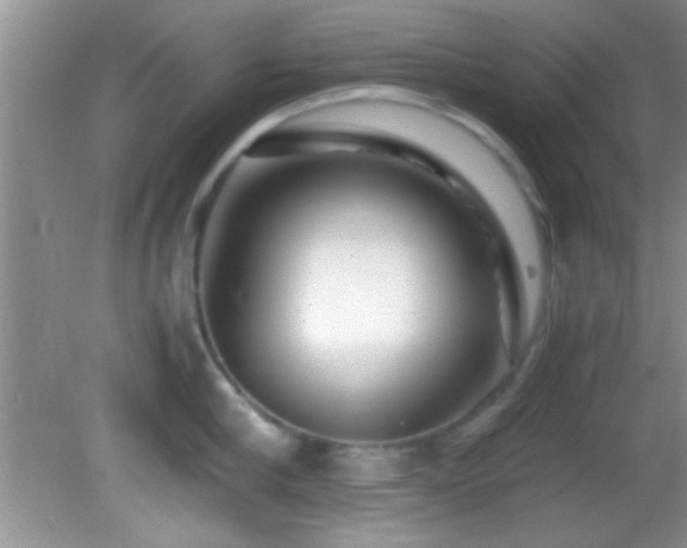 X0000082720910200701261216
