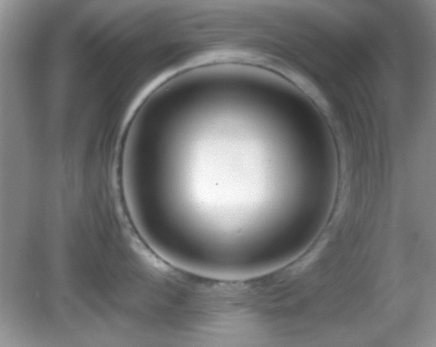 X0000082720912200701261216
