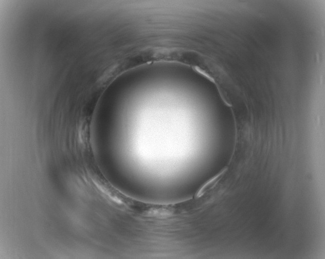 X0000082720914200701261215