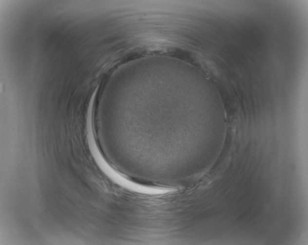 X0000082720916200701261215