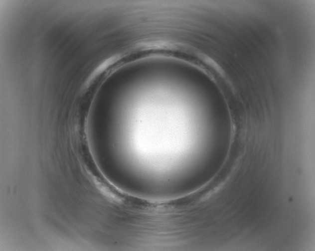 X0000082720922200701261215