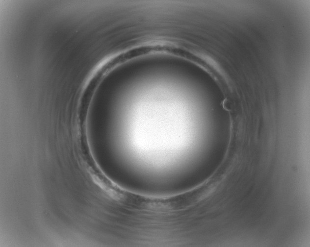 X0000082720927200701261215