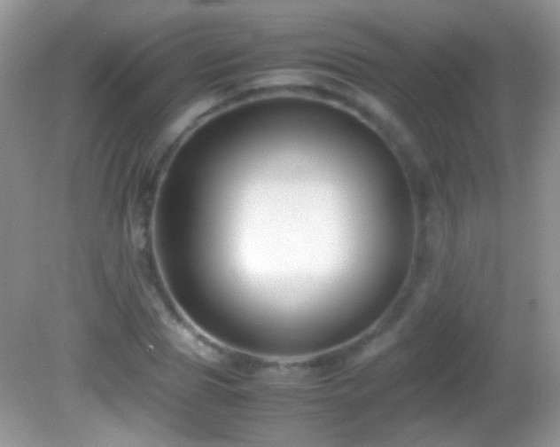 X0000082720929200701261215