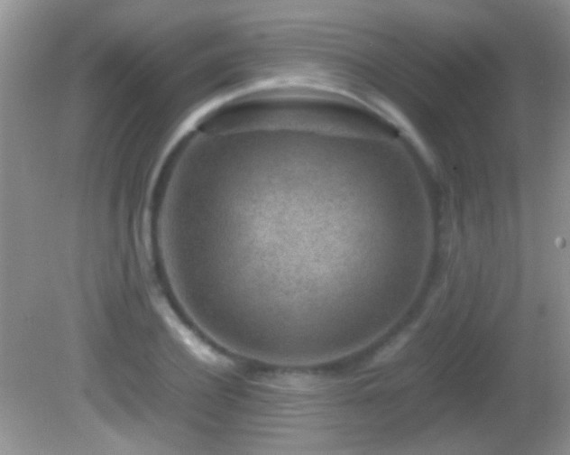 X0000082720932200701261215