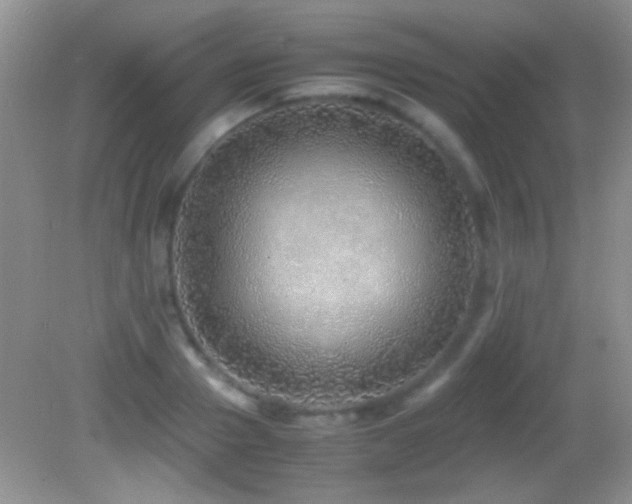 X0000082720937200701261215