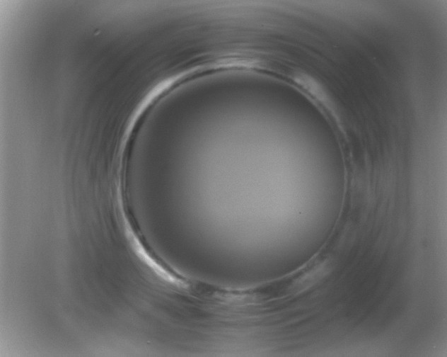 X0000082720941200701261215