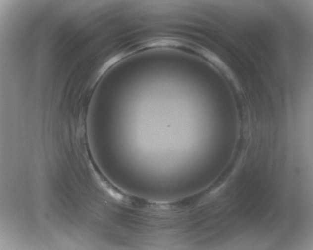 X0000082720945200701261215