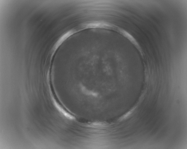 X0000082720946200701261215