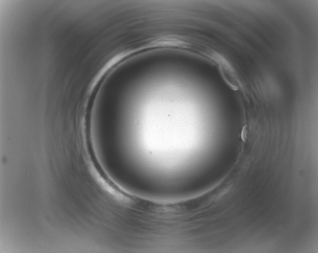 X0000082720947200701261215