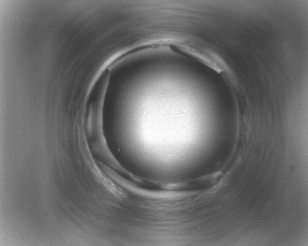 X0000082720948200701261215