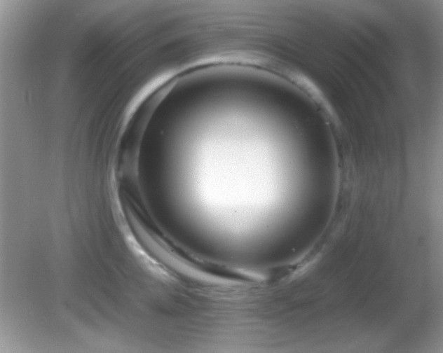 X0000082720952200701261215