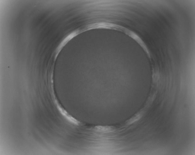 X0000082720954200701261216