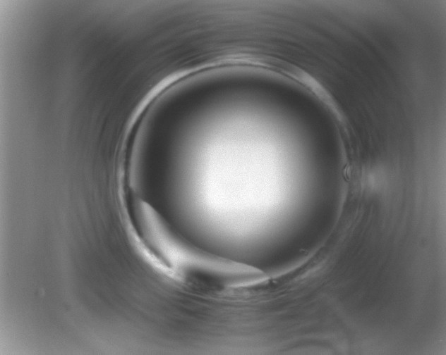 X0000082720955200701261216