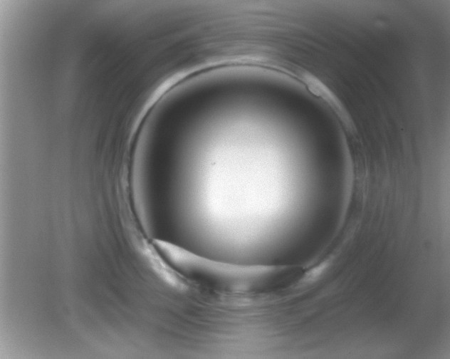 X0000082720956200701261216