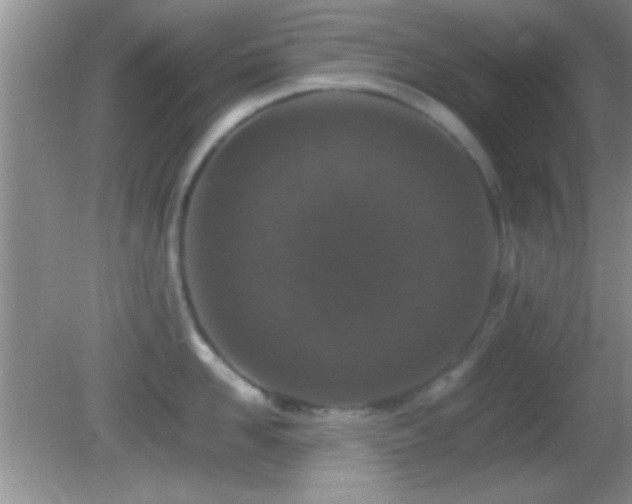X0000082720958200701261216