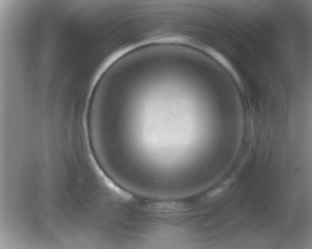 X0000082720959200701261216