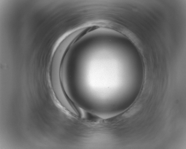 X0000082720960200701261216