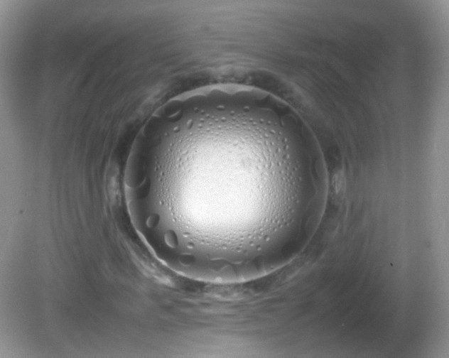 X0000082720963200701261215