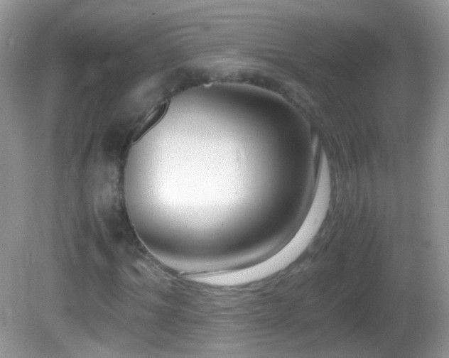 X0000082720964200701261215