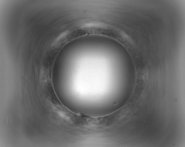 X0000082720965200701261215