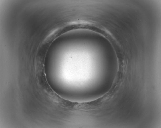 X0000082720967200701261215