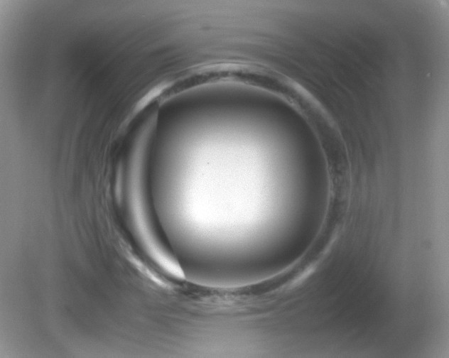 X0000082720969200701261215