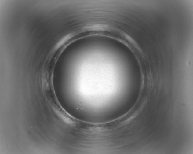 X0000082720970200701261215