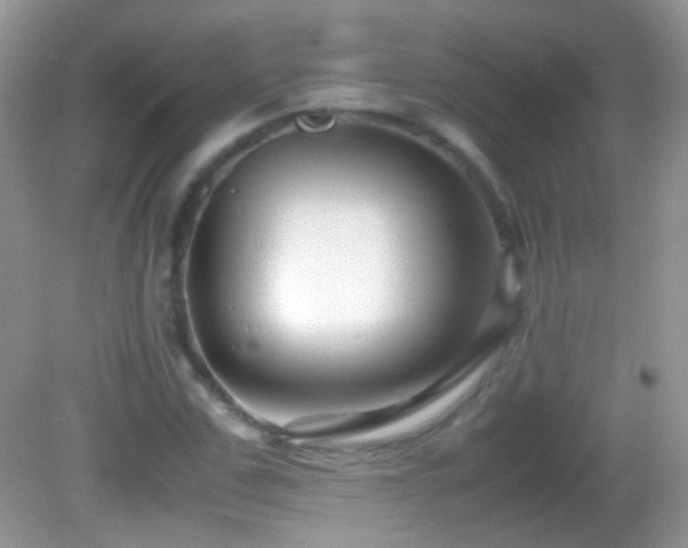 X0000082720971200701261215