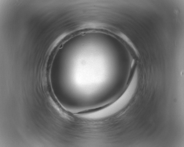 X0000082720972200701261215