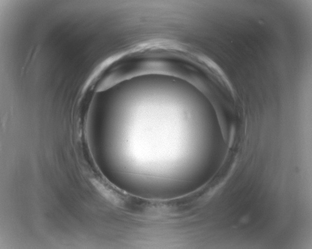 X0000082720973200701261215