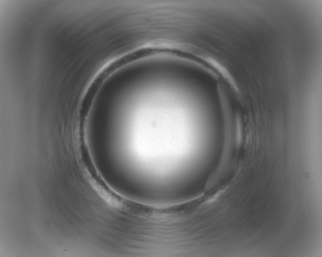 X0000082720976200701261215