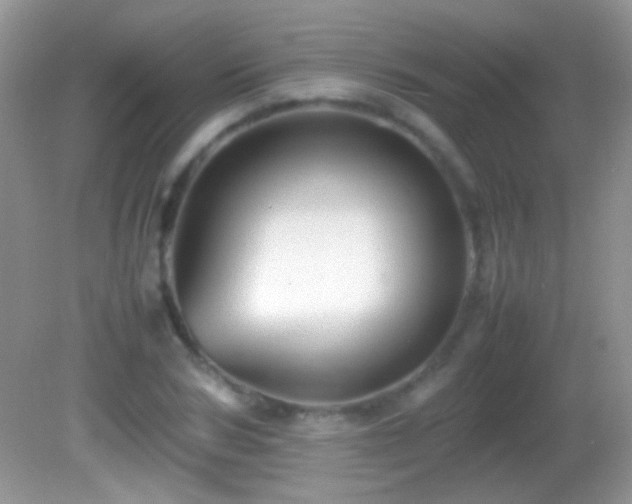 X0000082720978200701261215