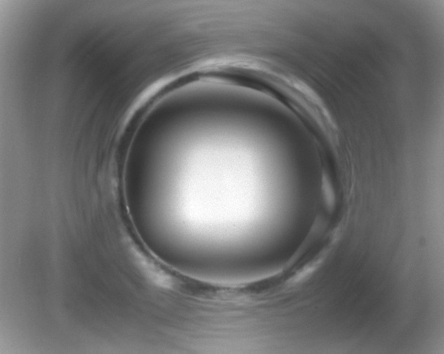 X0000082720981200701261214