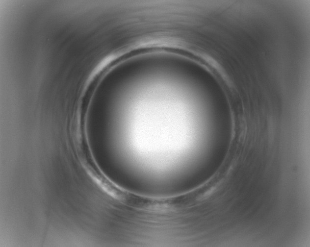 X0000082720982200701261214