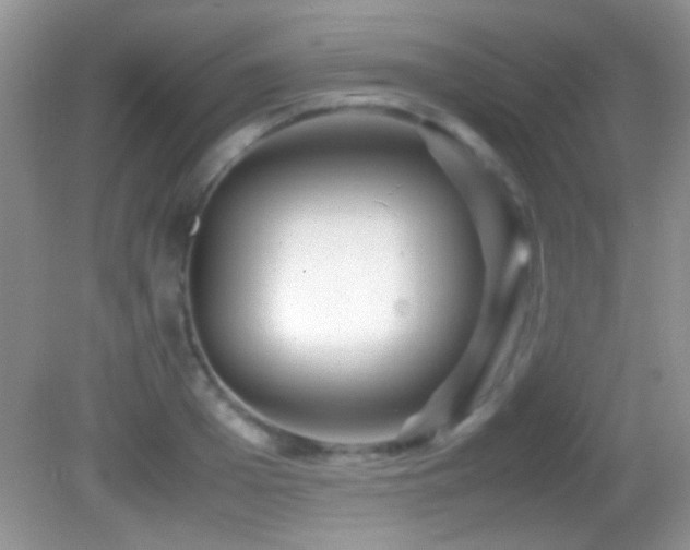 X0000082720985200701261214