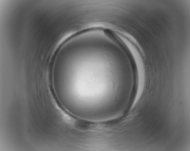 X0000082720991200701261214