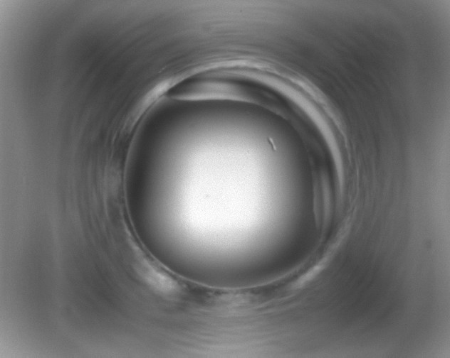 X0000082720993200701261214