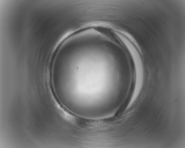X0000082720999200701261214