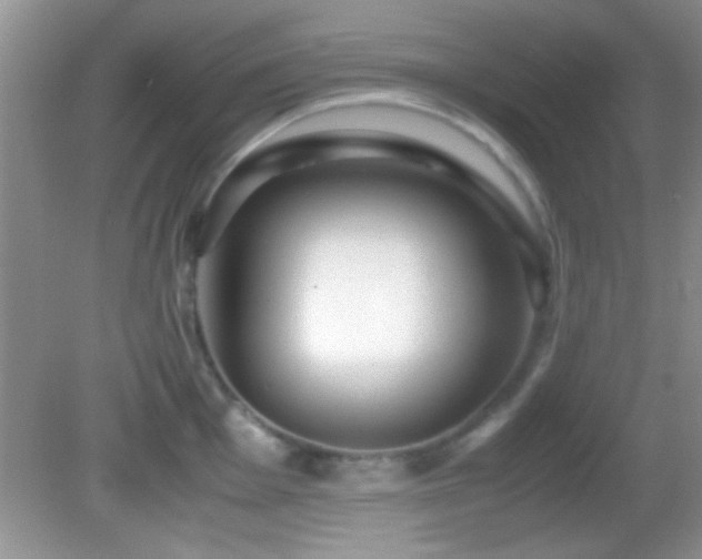 X0000082721001200701261214