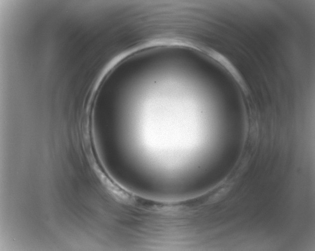 X0000082721004200701261214