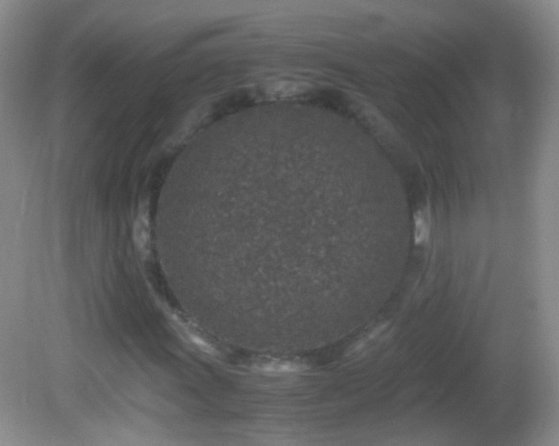 X0000082721011200701261213