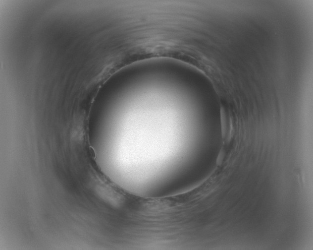 X0000082721012200701261213