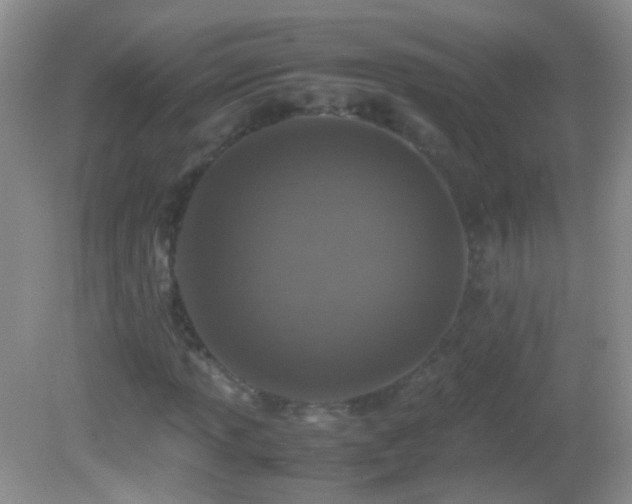 X0000082721013200701261213