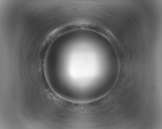 X0000082721016200701261213