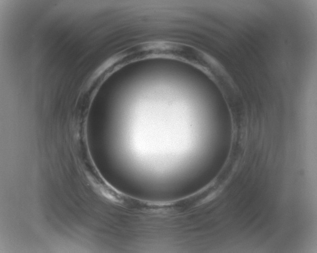 X0000082721017200701261213