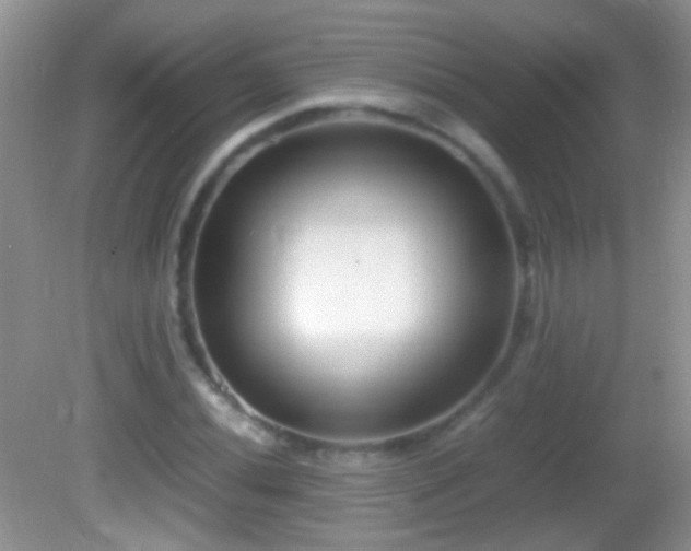 X0000082721020200701261213