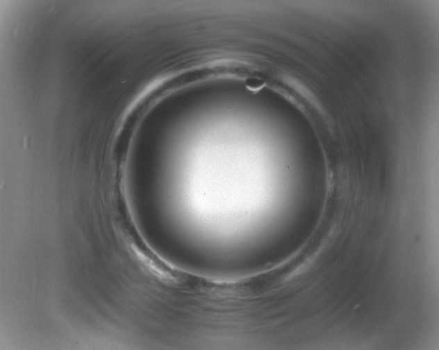 X0000082721021200701261213