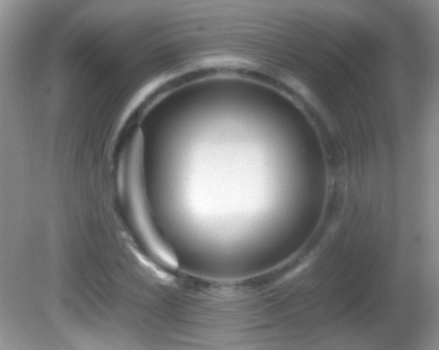 X0000082721022200701261213