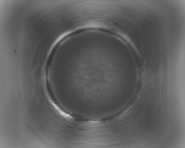 X0000082721024200701261213
