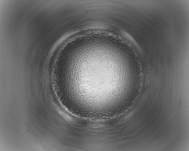 X0000082721027200701261213